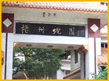 广西梧州蛇园